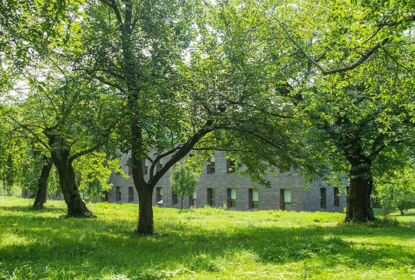 Haverford College Arboretum, United States